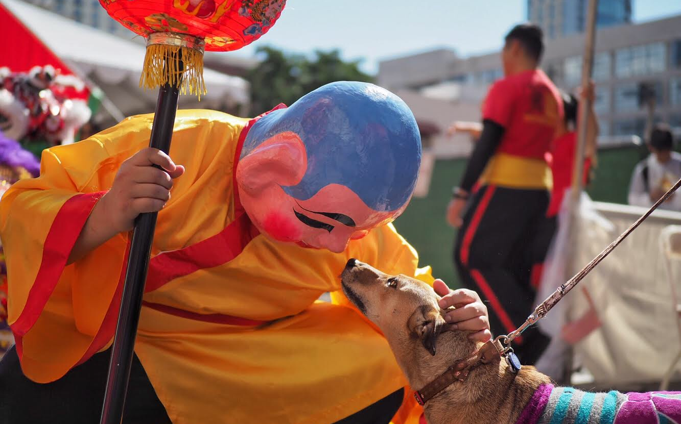 The "teaser" kneeling down and petting a dog facing one another nose-to-nose.