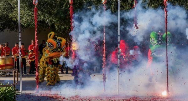 multiple lions dancing around exploding firecrackers with the drummer and instruments playing behind them.