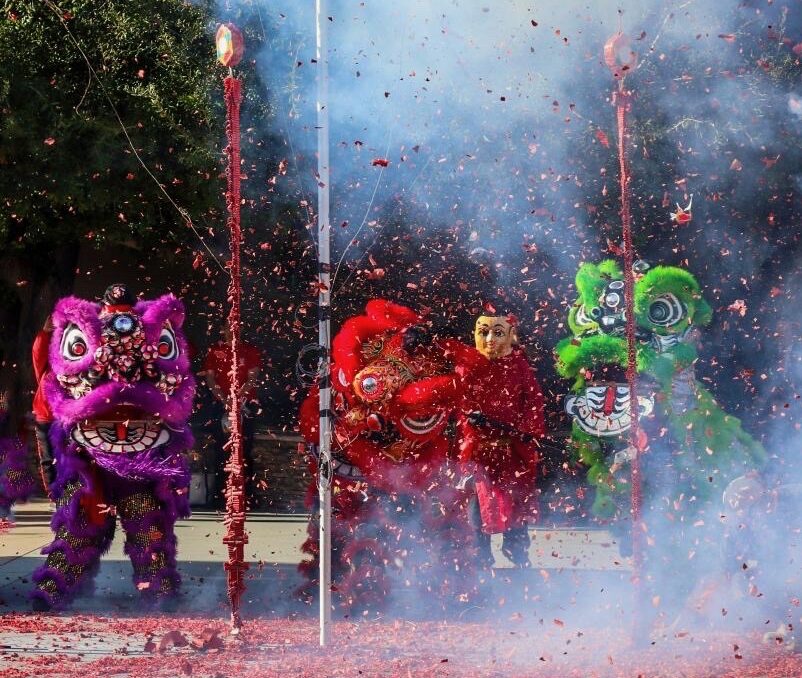Three lions dancing around exploding firecrackers.